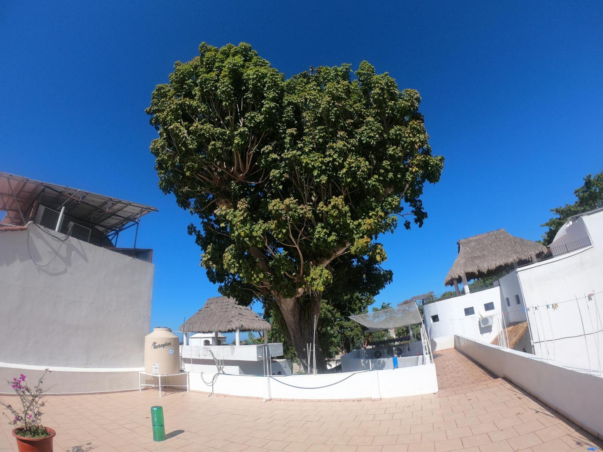 Casa Arbol De Paz Habitacion Doble Чакала Экстерьер фото
