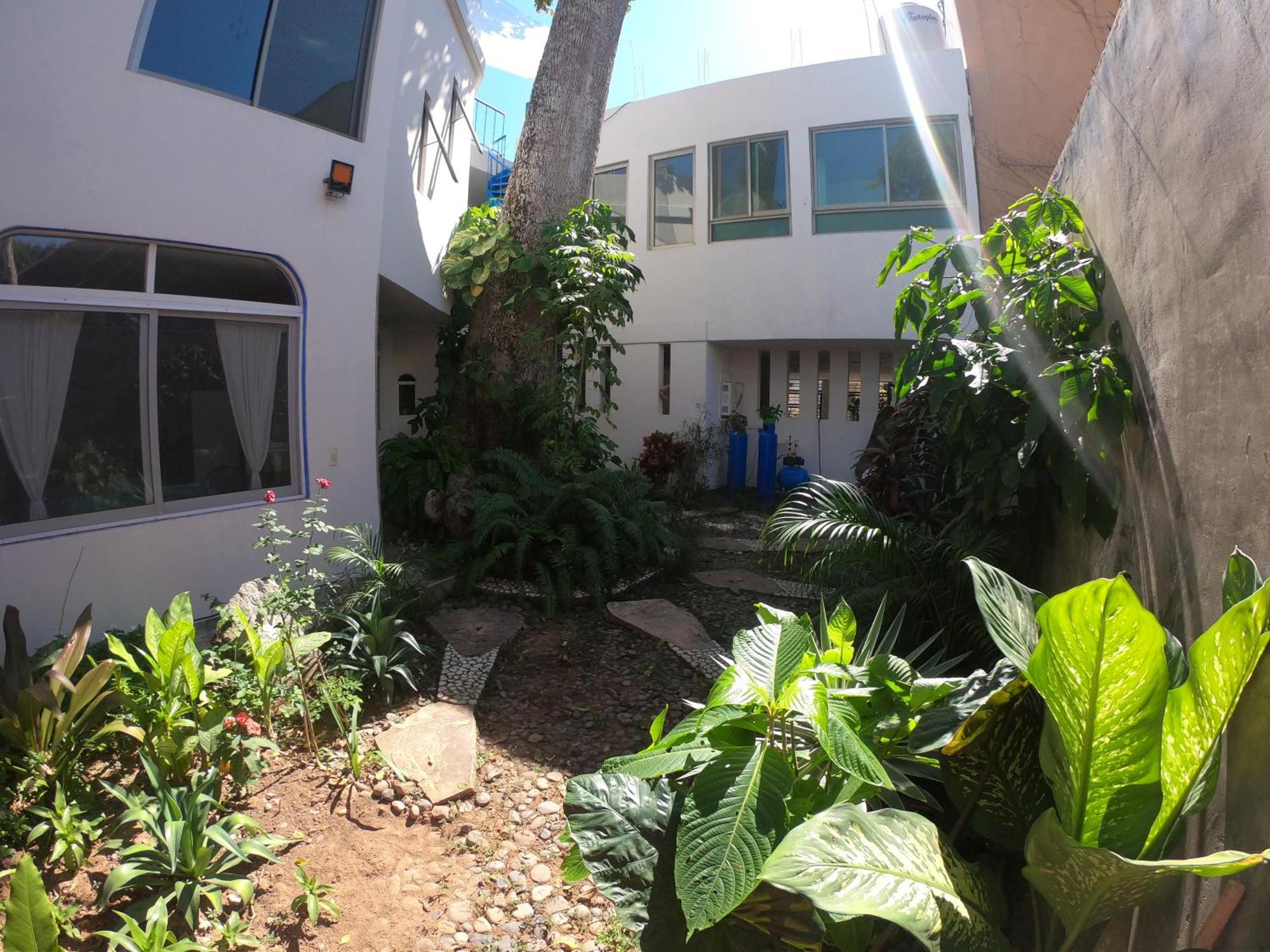 Casa Arbol De Paz Habitacion Doble Чакала Экстерьер фото